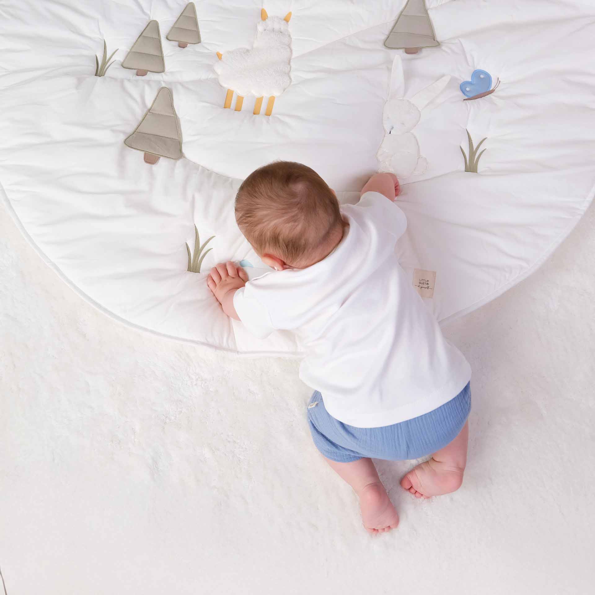 Little gusto oyun ve oyuncaklar