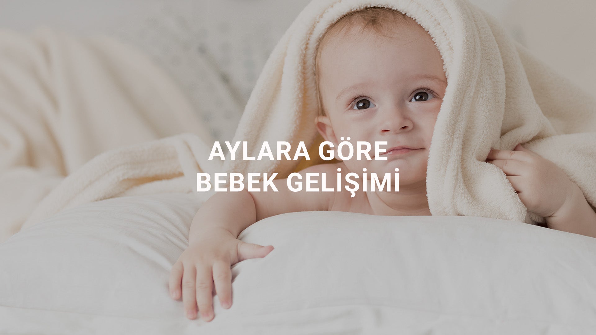 Aylara Göre Bebek Gelişimi