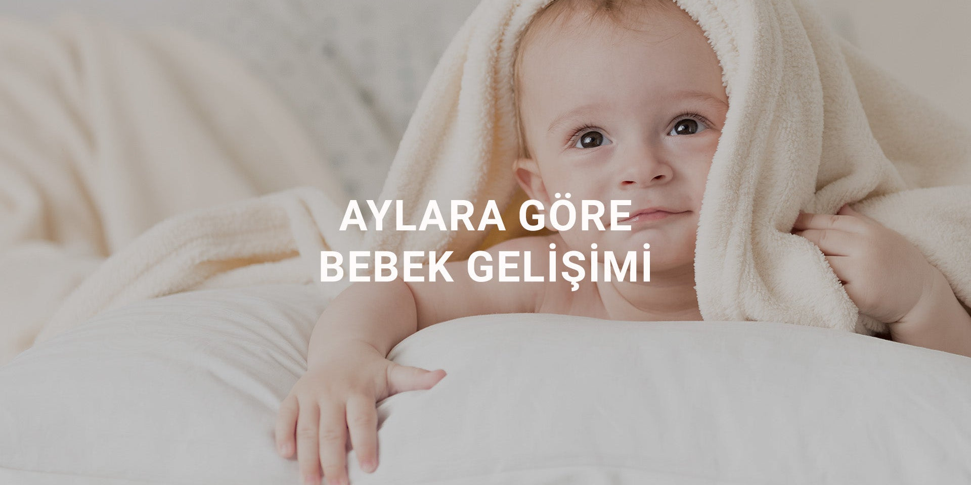 Aylara Göre Bebek Gelişimi