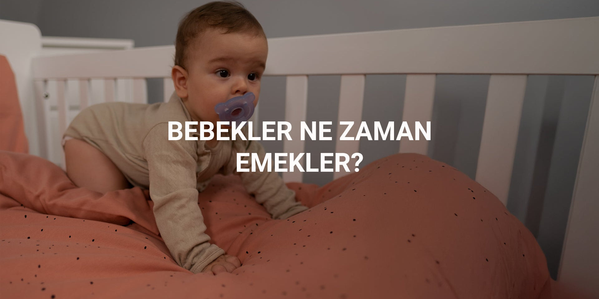Bebekler Ne Zaman Emekler?