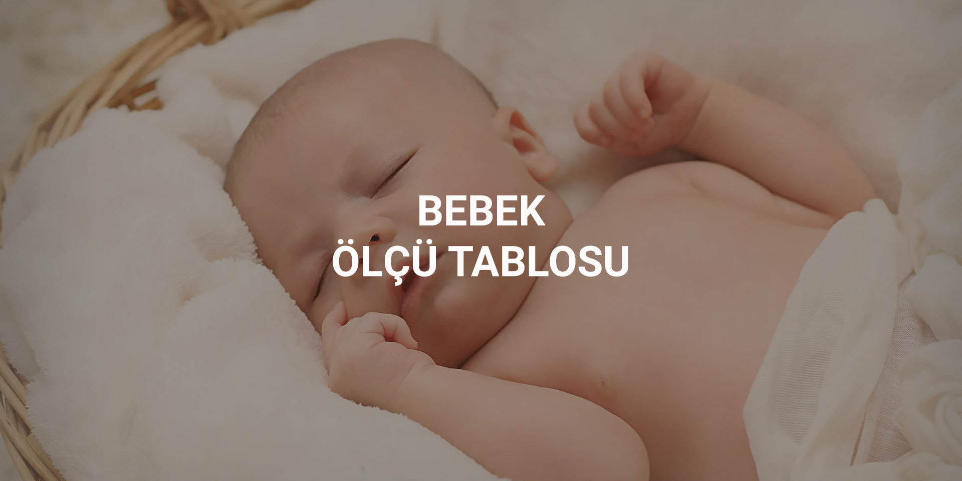 Bebek Ölçü Tablosu Little Gusto