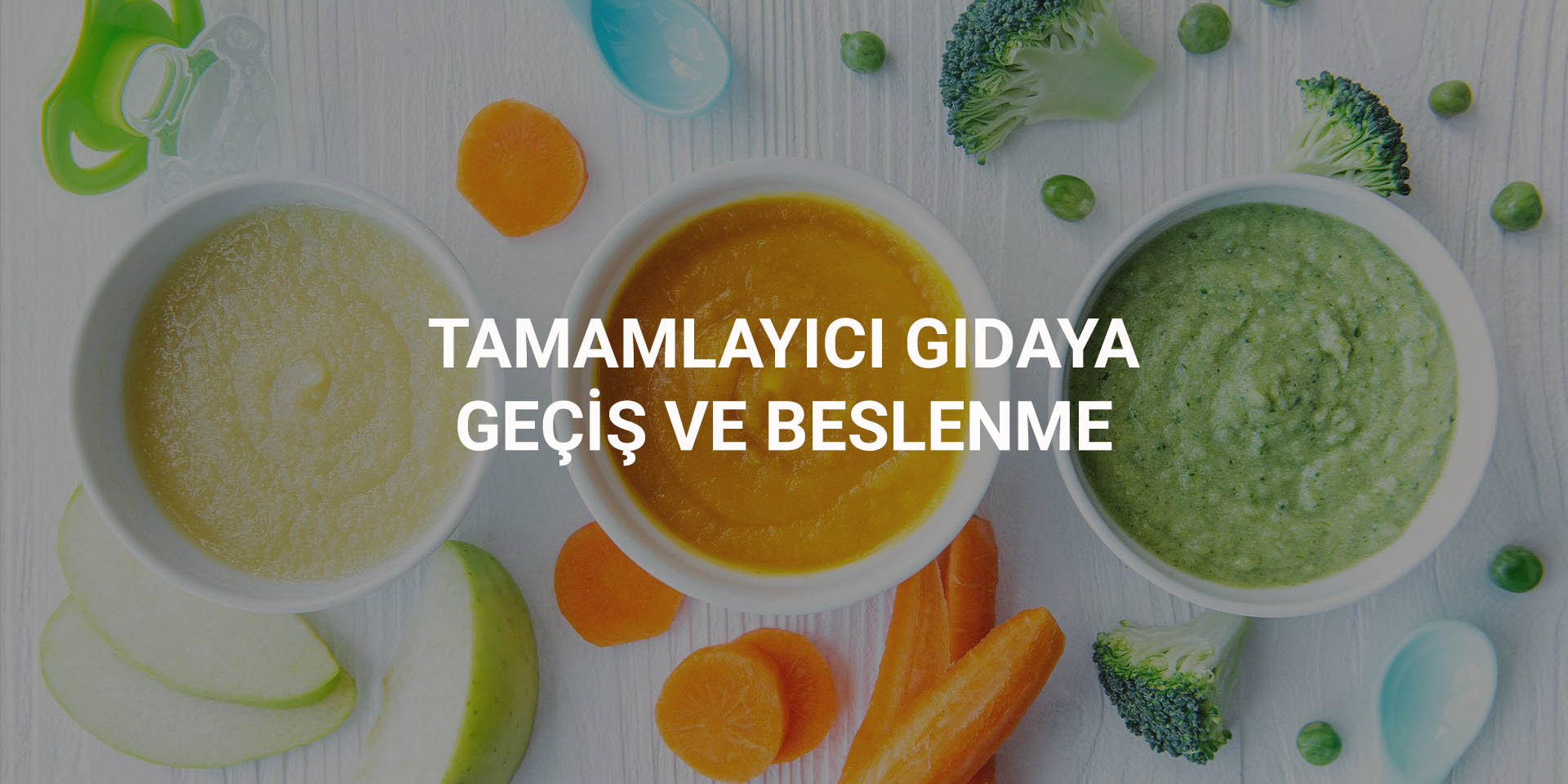 Bebeklerde Tamamlayıcı Gıdaya Geçiş ve Beslenme Little Gusto
