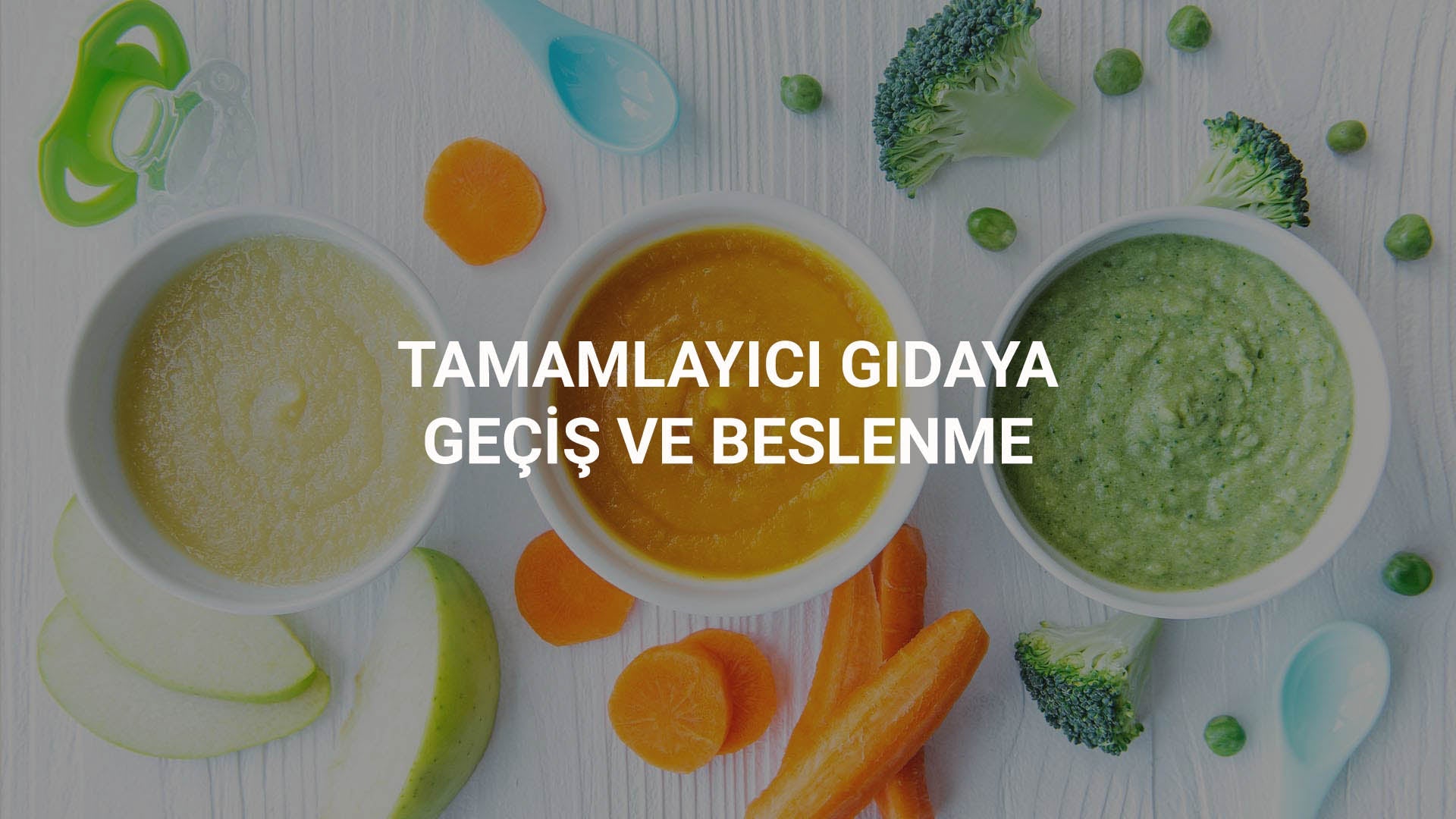 Bebeklerde Tamamlayıcı Gıdaya Geçiş ve Beslenme Little Gusto