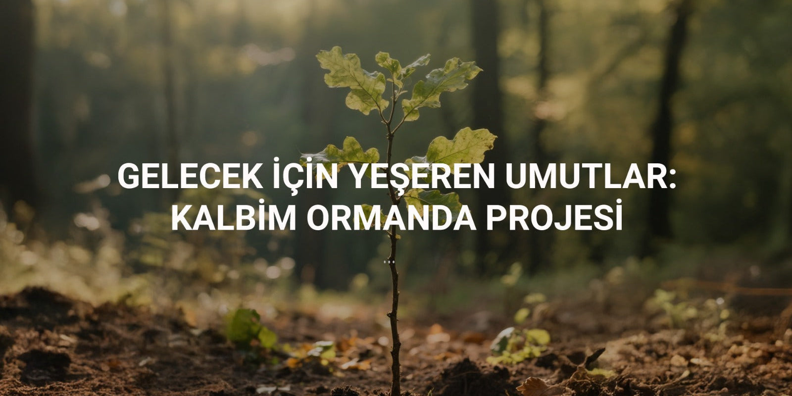 Gelecek İçin Yeşeren Umutlar – “Kalbim Ormanda Projesi”