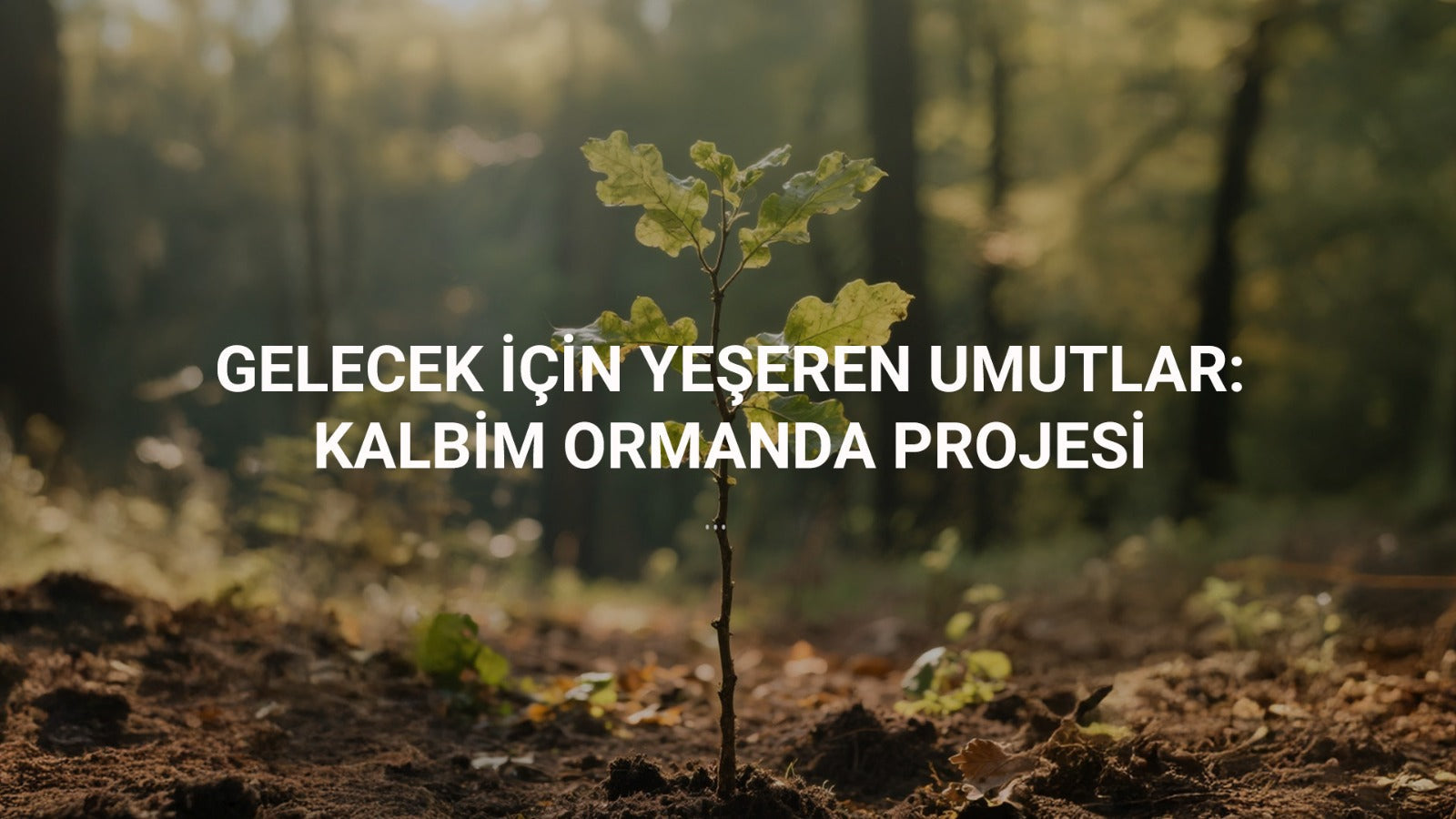 Gelecek İçin Yeşeren Umutlar – “Kalbim Ormanda Projesi”