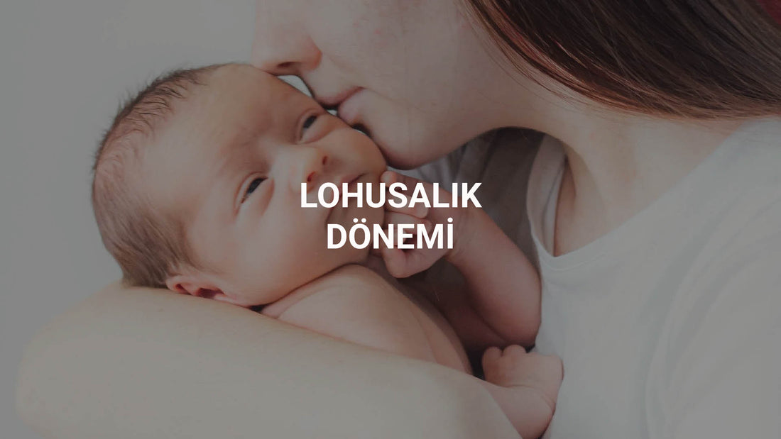 Lohusalık Dönemi Little Gusto