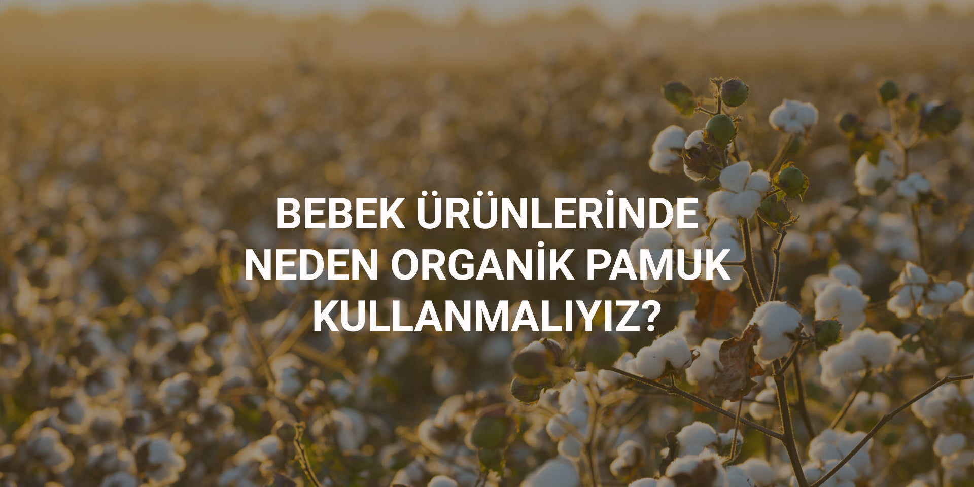 Bebek Ürünlerinde Neden Organik Pamuk Kullanmalıyız?