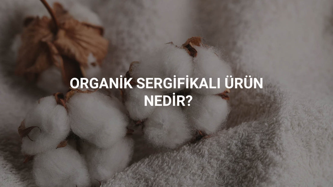 Organik sertifikalı ürün nedir? Organik sertifika çeşitleri nelerdir? Little Gusto