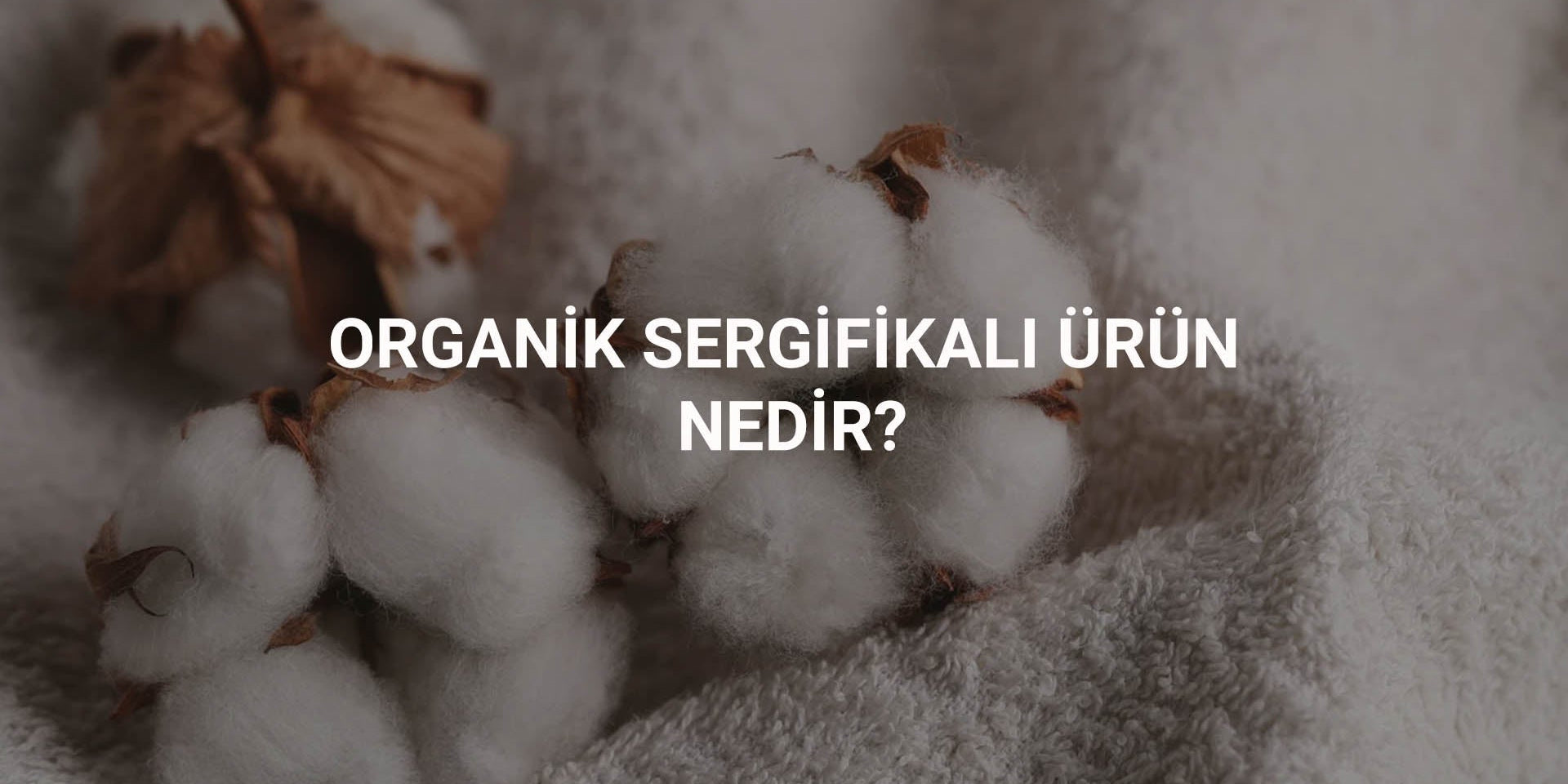Organik sertifikalı ürün nedir? Organik sertifika çeşitleri nelerdir? Little Gusto