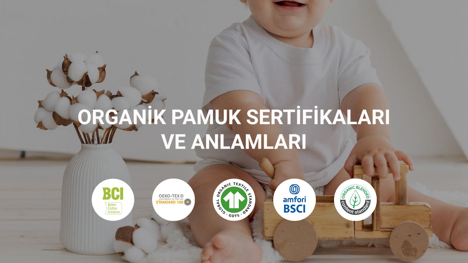Organik Pamuk Ürünlerde Sertifika Önemi ve Anlamları