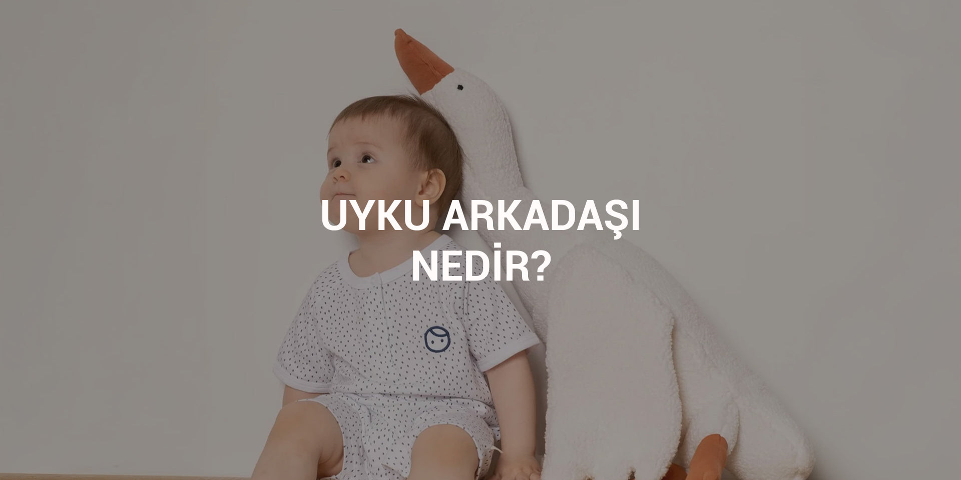 Uyku Arkadaşı Nedir?
