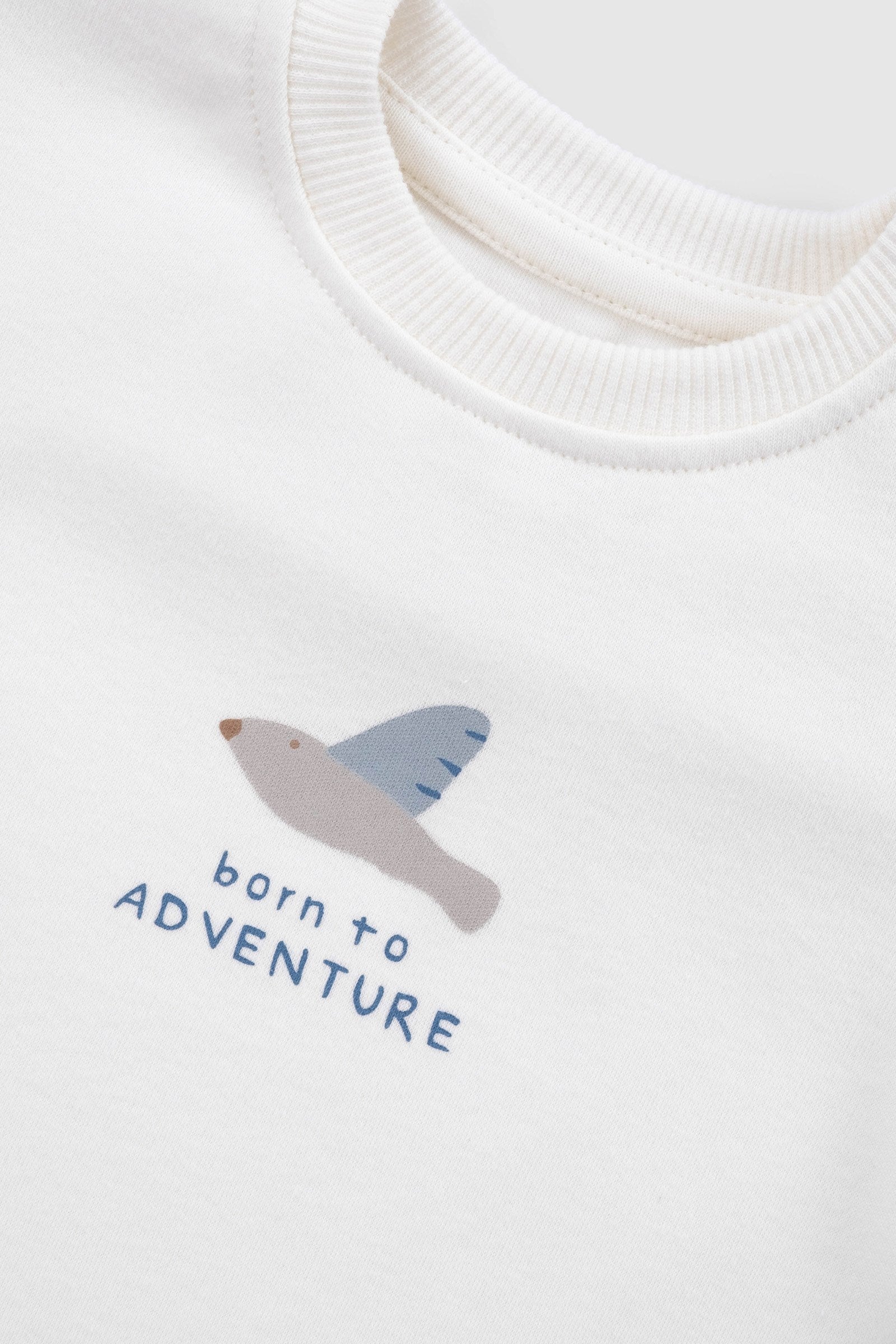 Organik Pamuk Bebek Tişört Adventure Tişört Little Gusto