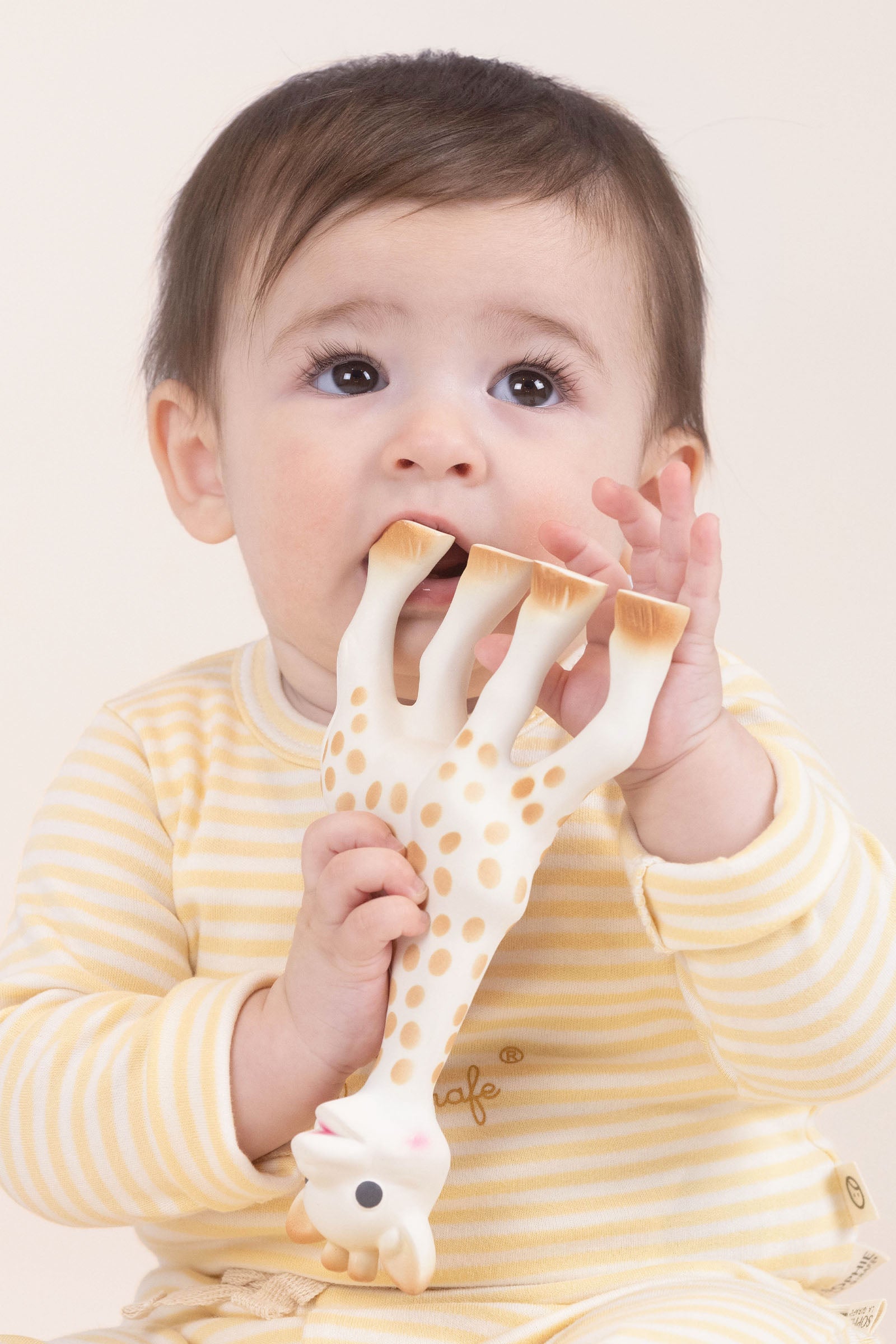 Sophie la girafe Zürafa Diş Kaşıyıcı Diş Kaşıyıcı Çıngırak Little Gusto