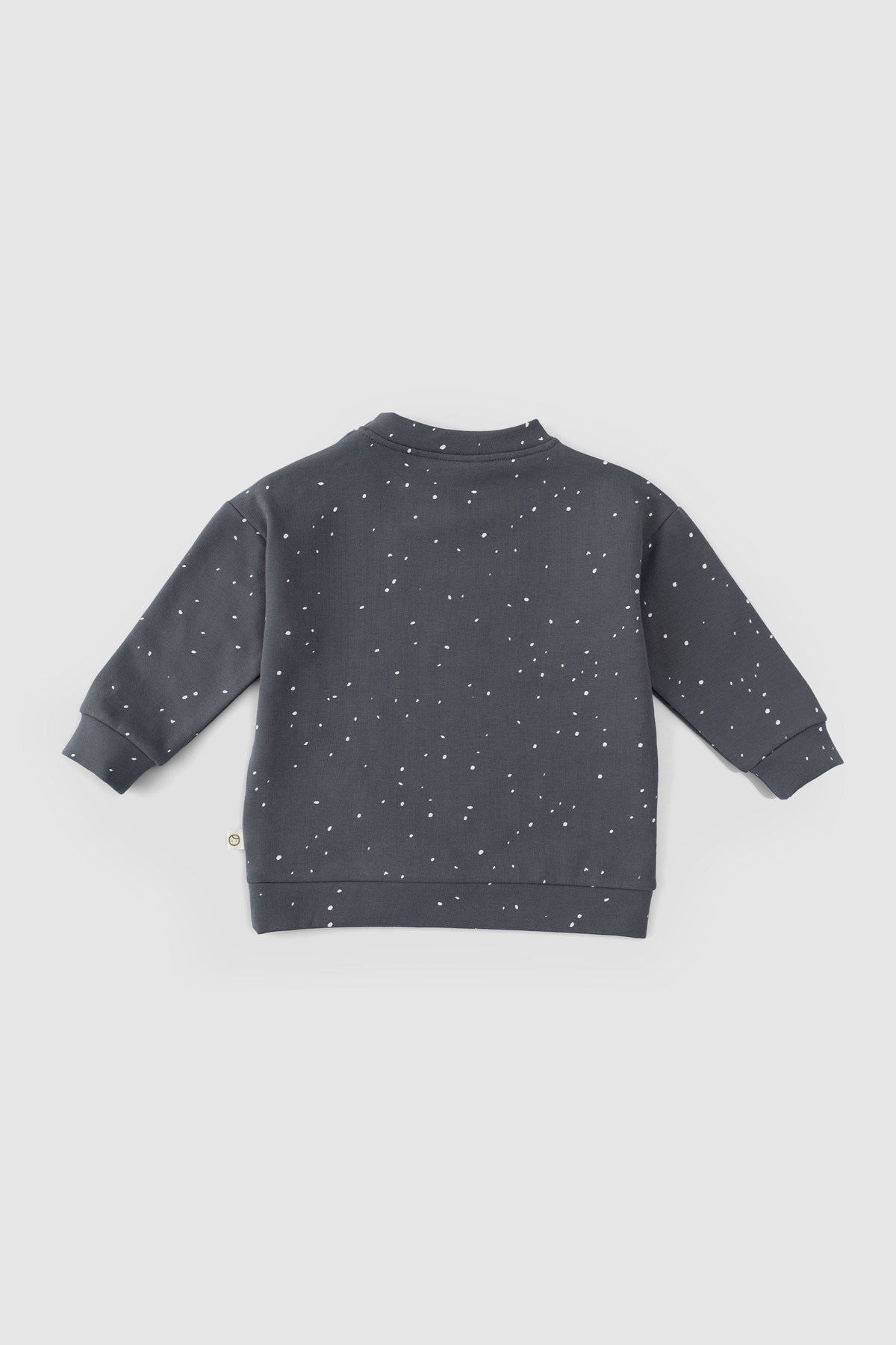 Organik Pamuk Bebek Eşofman Takımı Cosmos - Little Gusto - 